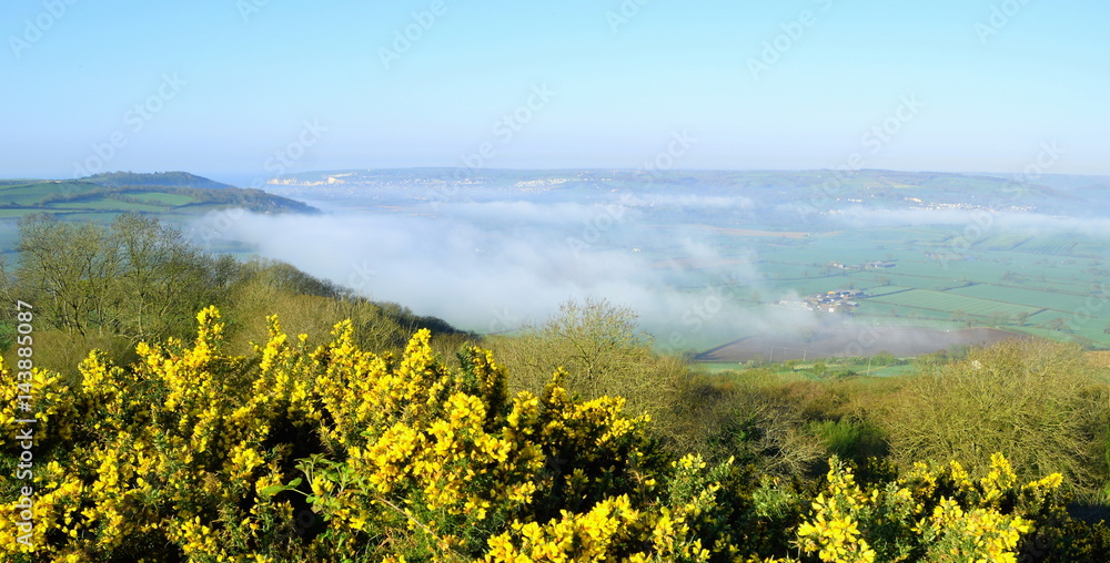 Panoramic view over Axe Valley, Devon on a foggy spring morning Panoramic view over Axe Valley, Devon on a foggy spring morning