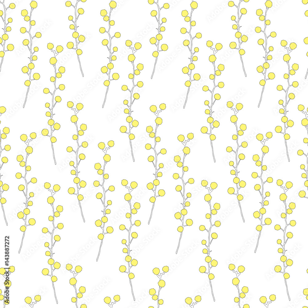 Seamless floral vector pattern, Mimosa flower hand drawn vector illustration isolated on white background, colorful ink doodle sketch for design greeting card, wedding invitation, packaging cosmetics Seamless floral vector pattern, Mimosa flower hand drawn vector illustration isolated on white background, colorful ink doodle sketch for design greeting card, wedding invitation, packaging cosmetics