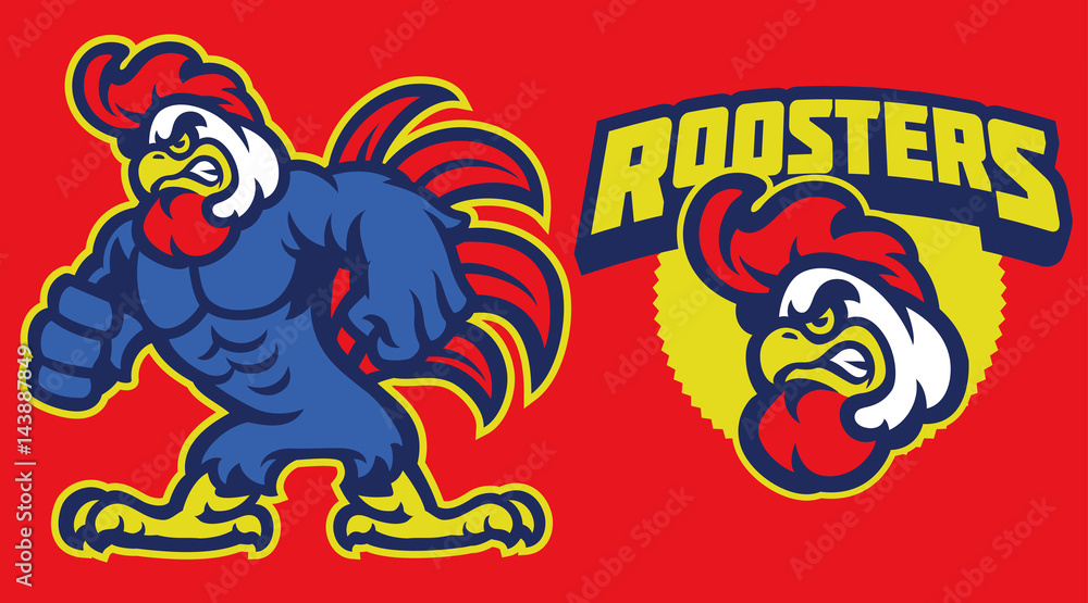 Fototapeta premium angry chicken rooster