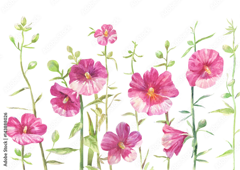 hollyhock drawing hollyhock drawing
