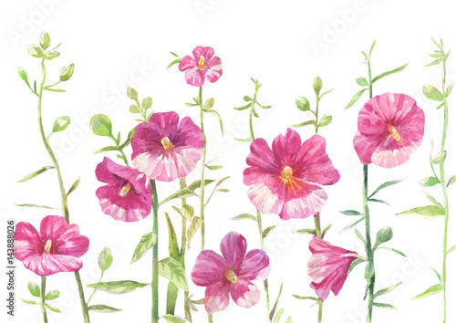 Tableau sur toile hollyhock drawing