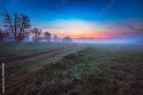 Dreamy foggy meadow landscape