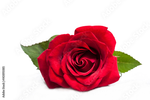 Beautiful red rose wallpaper