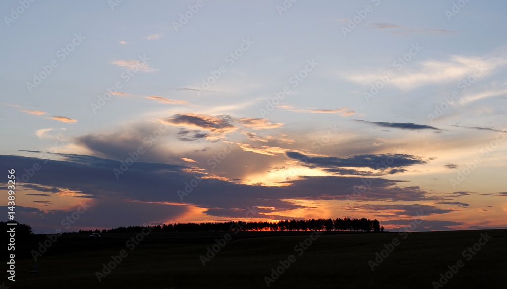 Fototapeta premium Summer trees landscape