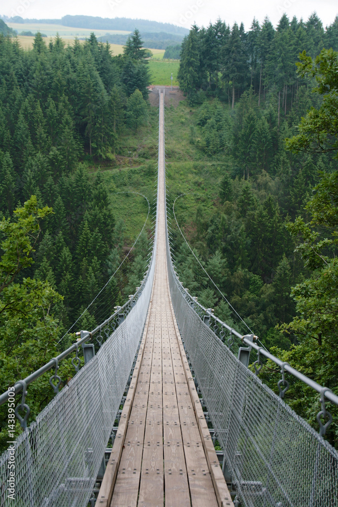 Geierlay suspension bridge from south to north