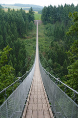 Fototapete Khaki Geierlay Hängebrücke im Hunsrück  © A. Emson