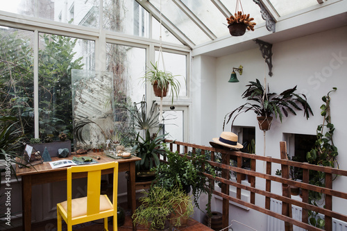 Plant filled conservatory with yellow chair and straw hat