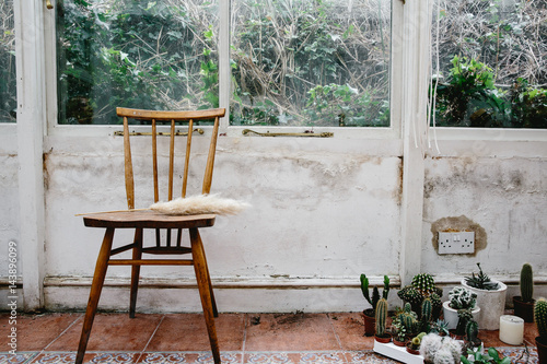Chair in conservatory with cacti and other plants