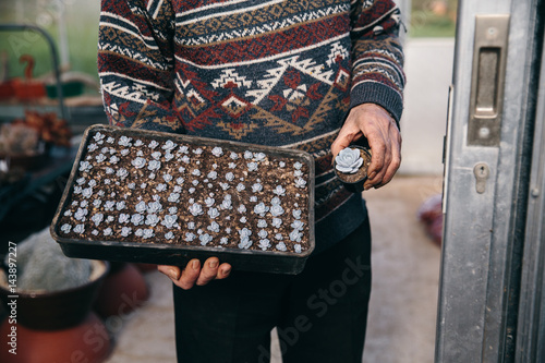 Man in jumper holding cacti