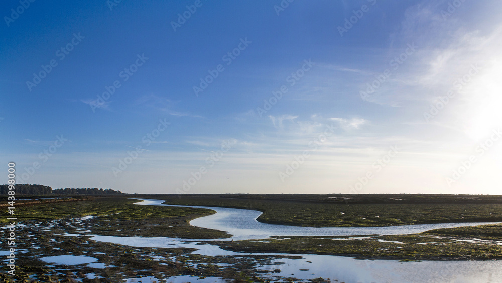 blue sky river swamp beauty line blue sky river swamp beauty line
