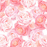 Seamless pattern with elegance color pink roses. Natural floral background.