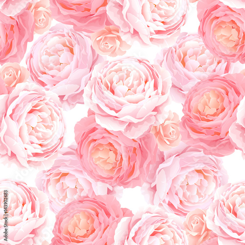 Seamless pattern with elegance color pink roses. Natural floral background.