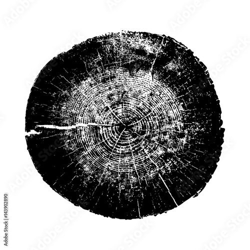 Tree ring, log, wood trunk. Black and white. Silhouette. Vector illustration EPS 10 isolated on white background