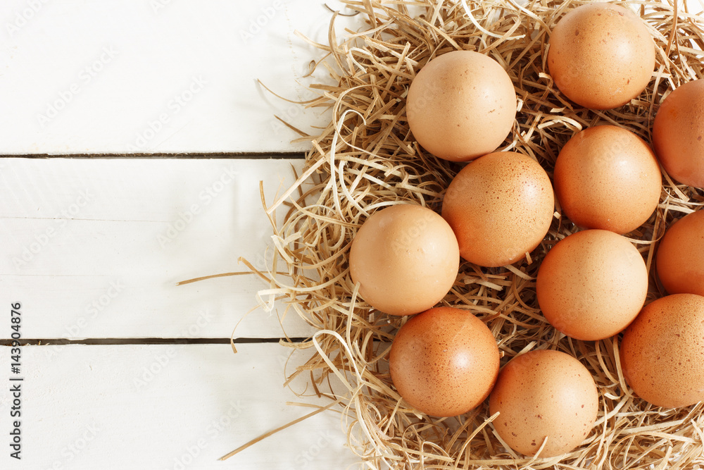 Fresh Eggs./Fresh Eggs Fresh Eggs./Fresh Eggs