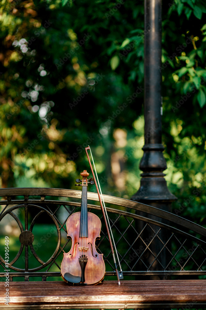 Violin music instrument of orchestra. Violins in the park on the bench