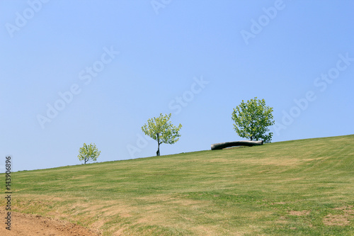 ベンチと3本の木