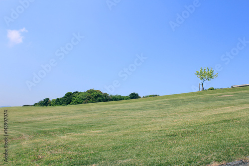 緑の丘と青空
