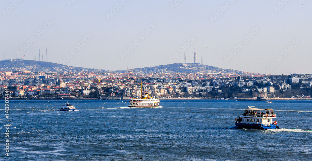  View of Istanbul and Bosphorus Strait. Turkey