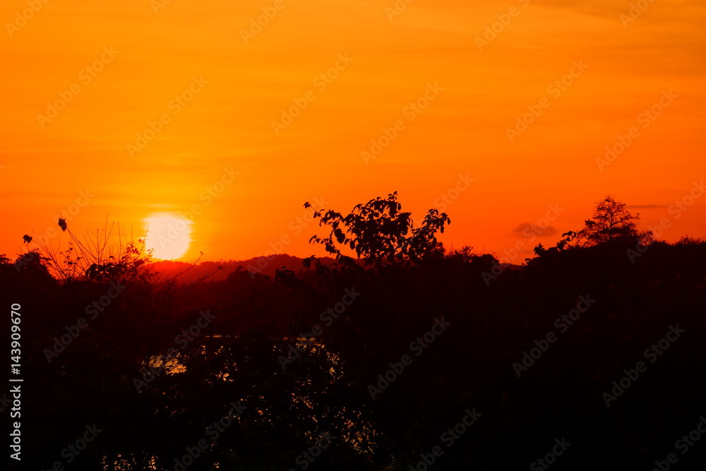 silhouette tree and  sunset beautiful colorful landscape in sky twilight time