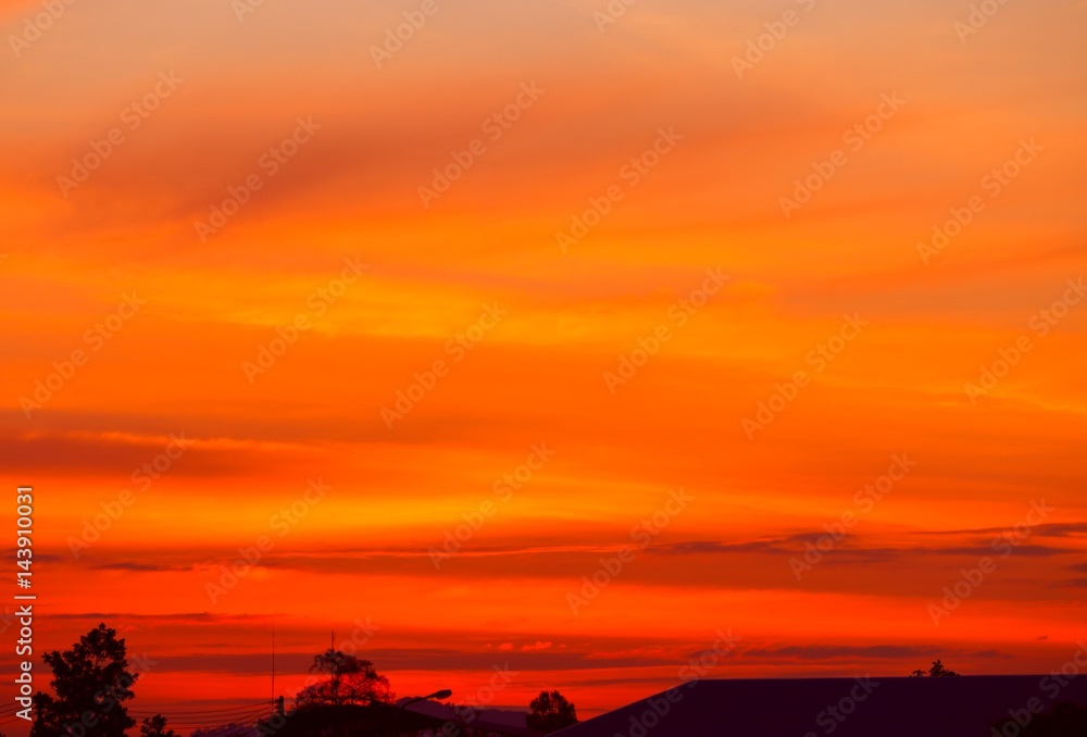 sunset beautiful colorful landscape and silhouette tree in sky twilight time