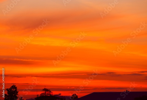 sunset beautiful colorful landscape and silhouette tree in sky twilight time