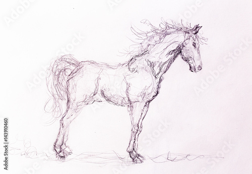 Drawing horse on old paper, original hand draw.