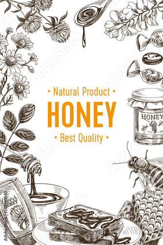 Vector hand drawn honey Illustration.
