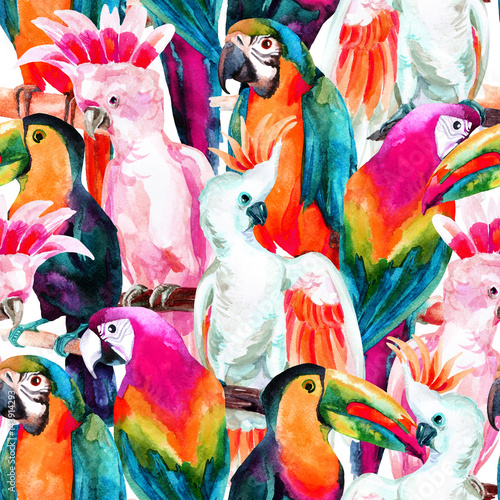 Carta da parati Pappagalli - Carta da parati watercolor parrots seamless pattern