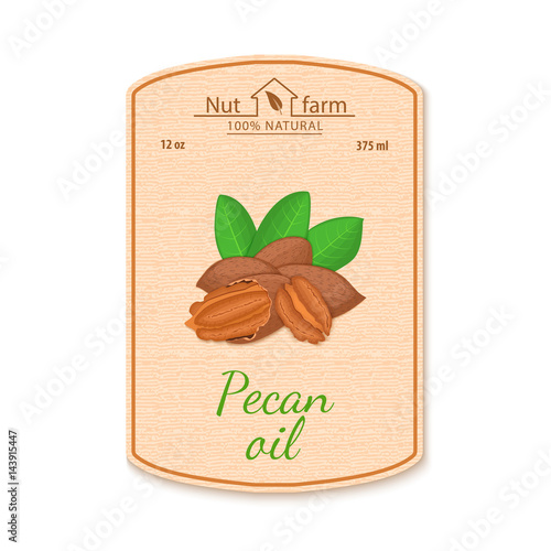 Vector pecan nut oil lable.