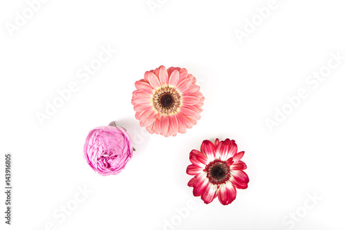 fiori top view
