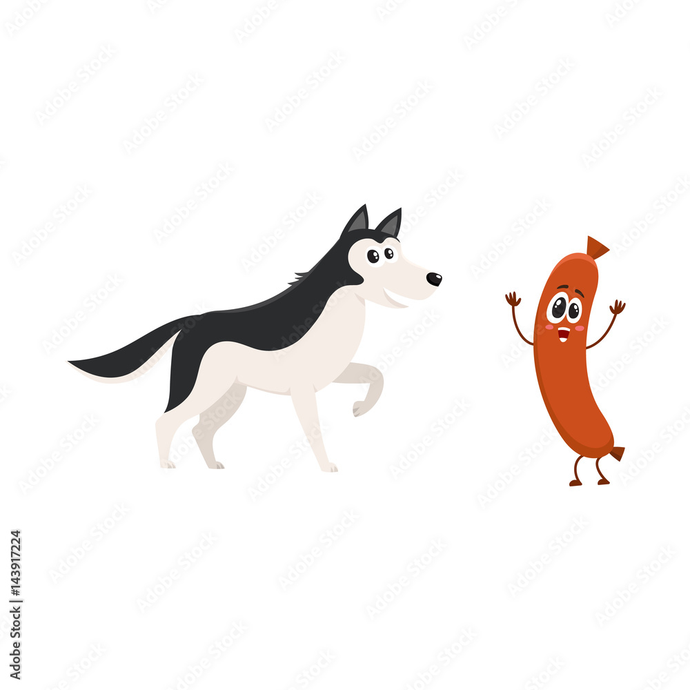 Obraz premium Cute black and white Husky dog and sausage characters, cartoon vector illustration isolated on white background. Funny husky dog and sausage character with human face and raised arms