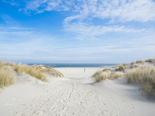 Leinwandbilder Dünen Nordseestrand mit Dünen am Horizont  © Philip