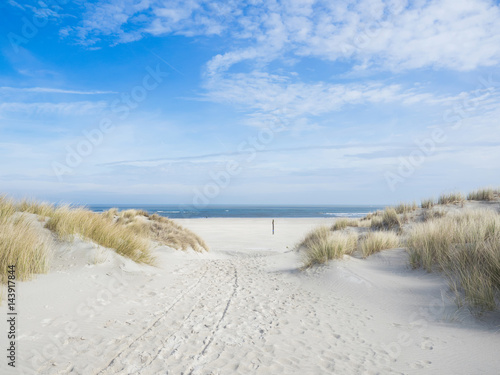 Fototapeta Beach, dunes, sea, horizon, north sea, sun