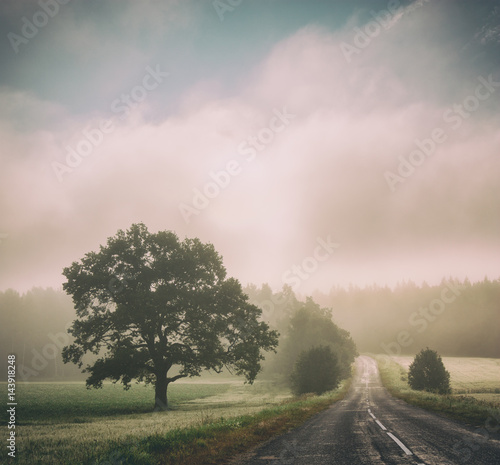 Autumn Landscape with Silhouettes of Trees and Road in Fog. Picturesque Morning Scenery at Sunrise with Mist. Toned and Filtered Instagram Styled Photo with Copy Space. Mystical Nature Background.