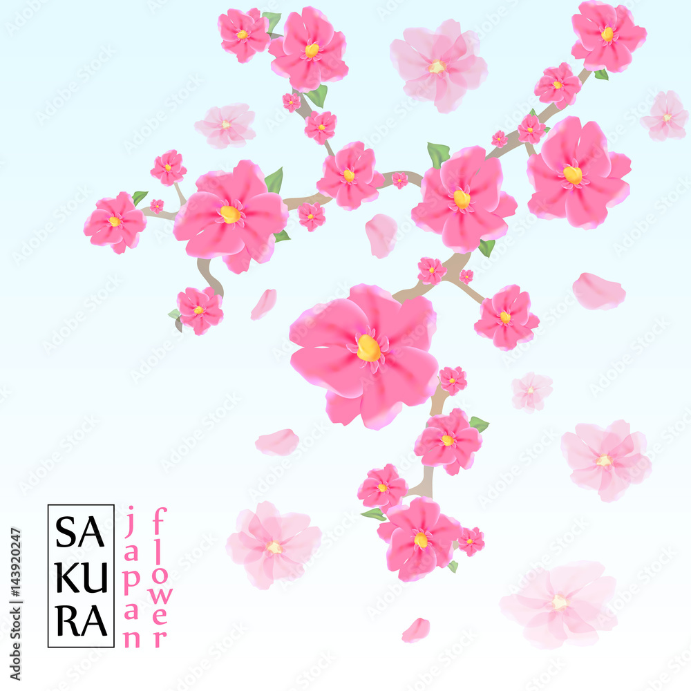 Sakura japan cherry branch with blooming flowers vector illustration