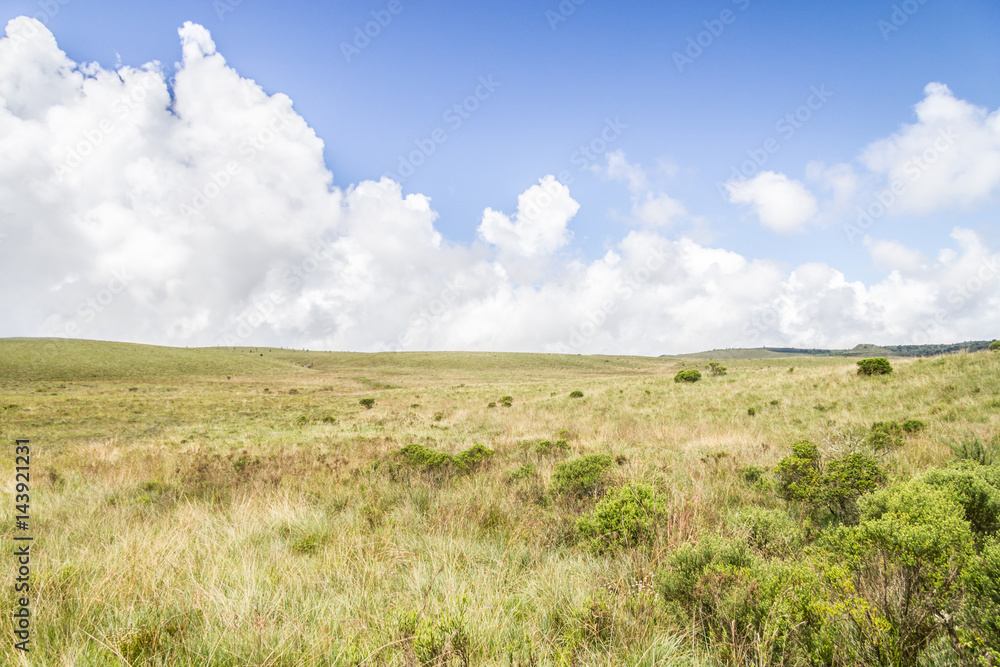 Field and hills