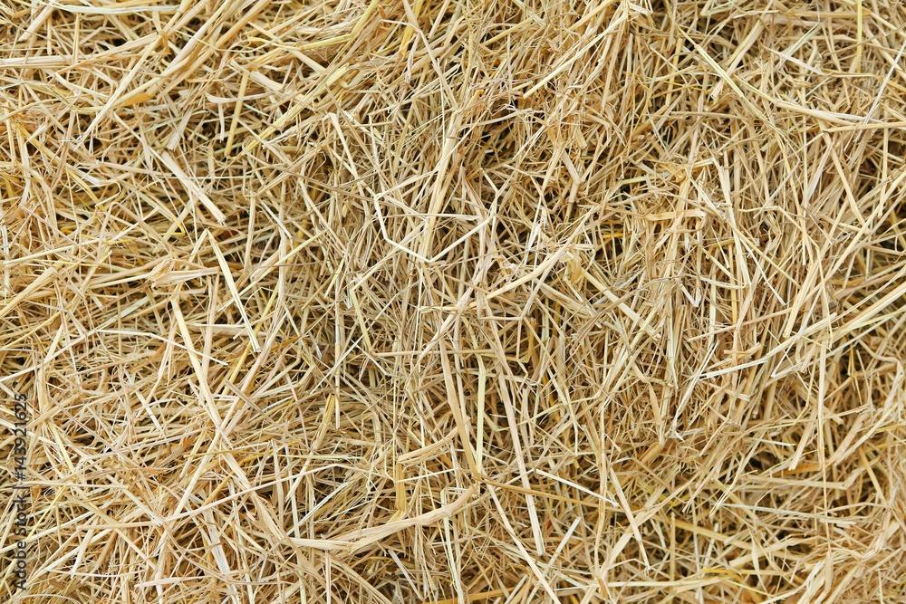 Straw texture background