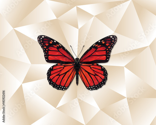 Low Poly Butterfly