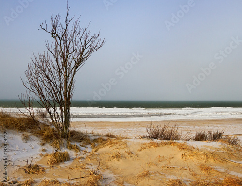 Fototapeta Naklejka Na Ścianę i Meble -  Dune at the sea.