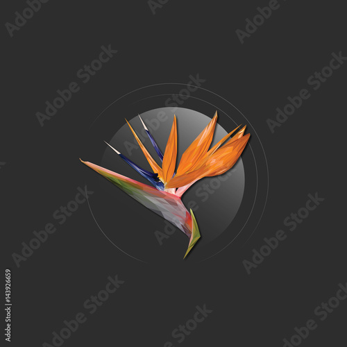 Low Poly Flower