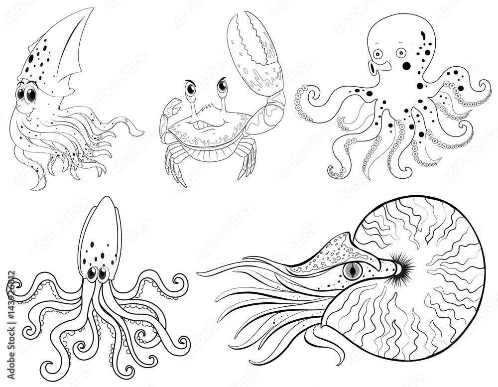 Fototapeta premium Animal outline for sea animals