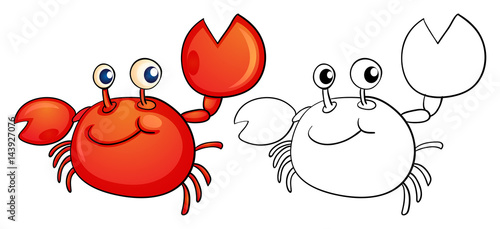Animal outline for little crab