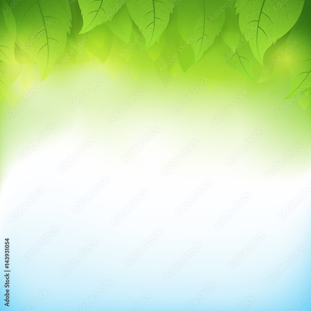 Abstract gradient green background with transparency leaf for ecology concepts 003