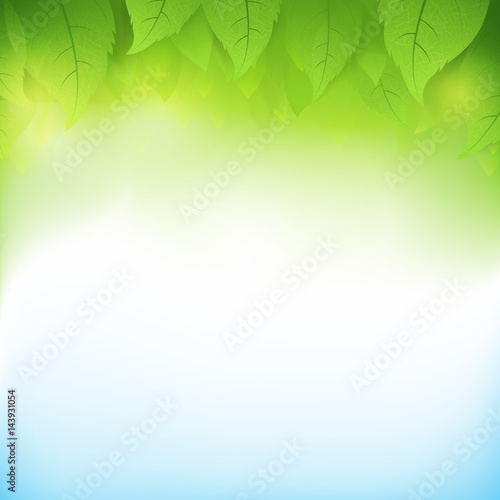 Abstract gradient green background with transparency leaf for ecology concepts 003