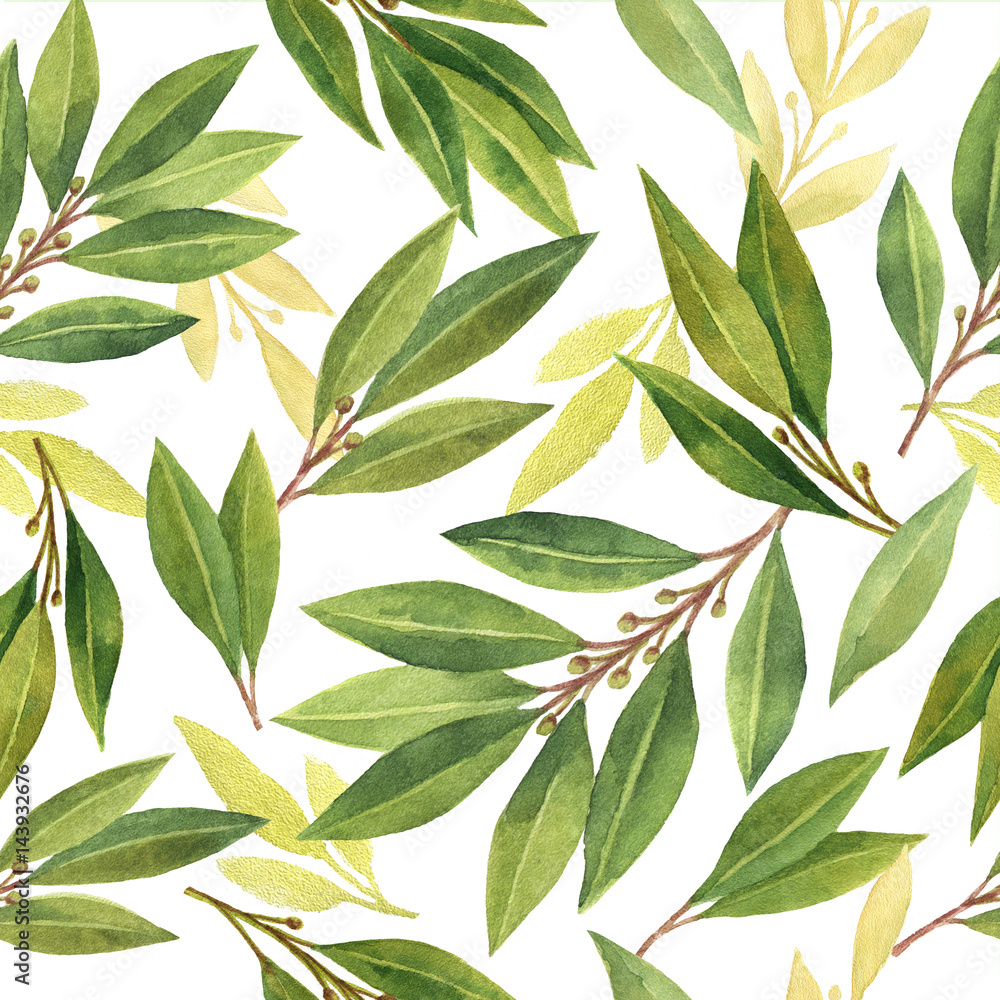 Fototapeta premium Watercolor Bay leaf seamless pattern of flowers and leaves isolated on white background.