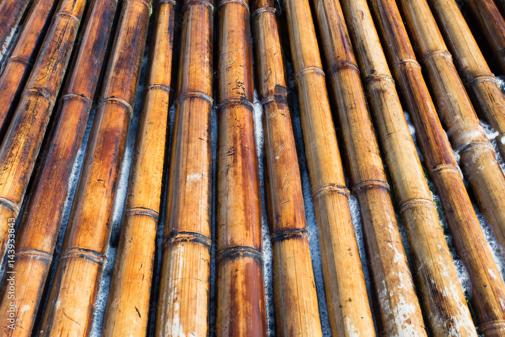 Fototapeta premium Bamboo background.