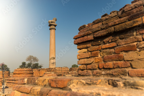 Ashoka pillar, select focus at pillar, the pillar is located at Kutagarasala Vihara, Vaishali, Bihar, India