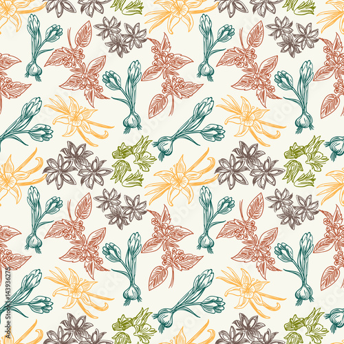 Colorful vintage seamless pattern with hand drawn spice herbs, vector illustration