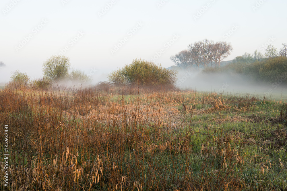Mgły nad brzegiem Warty Mgły nad brzegiem Warty
