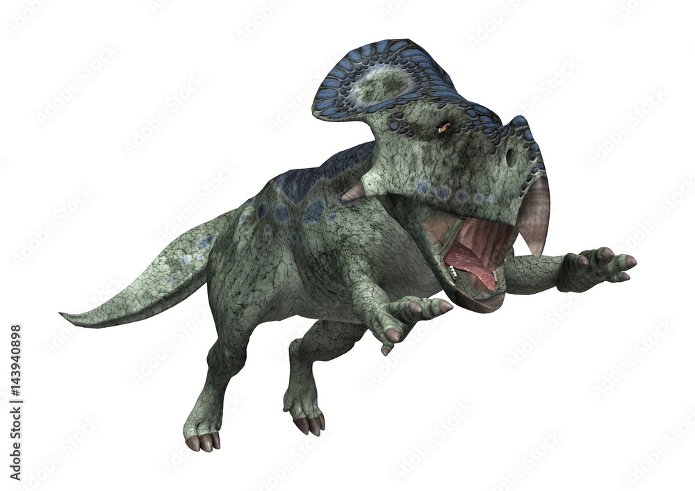 3D Rendering Dinosaur Protoceratops on White 3D Rendering Dinosaur Protoceratops on White